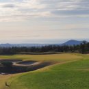 (주)타미우스골프앤빌리지 이미지