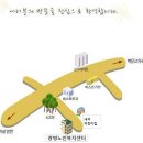 남부종로약국 이미지