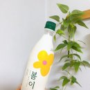 늘봄봄봄 | [내돈내산] GS편의점 막걸리 지평 '봄이' 막걸리 후기