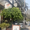 Day2] 나인원(Nine One coffee) 카페 - 미슐랭 식당 위라디(We-La-Dee Cafe &amp; Restaurant) 점심-The...