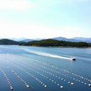 내마음의 풍차 이미지