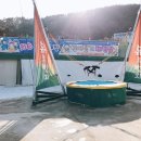 금호돈&오리 이미지