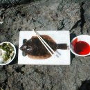 부산경남지역 도다리 번개 알림(4월 28일) 이미지