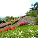 법성포 숲쟁이공원 이미지