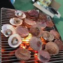 새미끌집 이미지