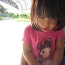 기일농장 이미지