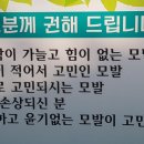 명품헤나샵 이미지