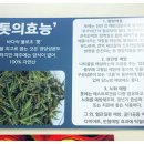 어촌식당 이미지