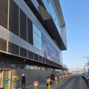 남선장 | 노량진 횟집 손선장 오마카세 모듬회와 초장집, 튀김 포장 후기