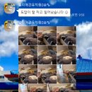 멜리애견유치원 이미지