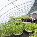 방대농장 이미지