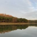 은파호수공원 9-5 이미지