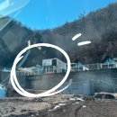 편안하개 | 내돈내산, 양평 가볼만한곳, 애견동반, 당일치기 글램핑, 편안하개 후기