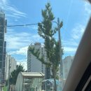 명장 돼지국밥 이미지