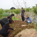 덕은농장 이미지