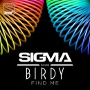 Sigma Feat. Birdy (시그마 & 버디) Find Me 이미지