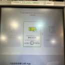 다안 | [대만 여행] 트래블로그/트래블월렛 무료 출금, 다안공원 후기