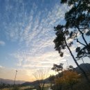 감곡 | 25년 11월 둘째주 수요일 감곡CC 란딩 후기