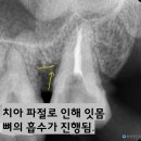 용현건어물 이미지