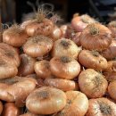 TRAMONTO | 시칠리아 한달살기 기록 Day 7