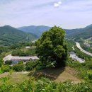 단양팔경(춘천) 이미지