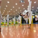 학사태권도장 이미지