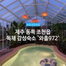 와흘972 | 제주 동쪽, 조천읍 독채펜션 풀빌라 감성숙소 &#39;와흘972&#39; 제주도 숙소 추천