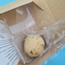 냥냥 스테이션(NYAN NYAN STATION) | 도쿄여행3