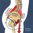 디자인더바디 네이버블로그