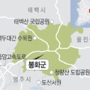 태양산림 이미지