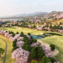 제일스포츠골프연습장 이미지