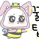 뚝딱집밥요리만들기 이미지