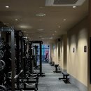 짐엑스 신대방점 | 도미노짐