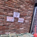 세이지힐 패밀리 캠핑장 | [홍천] 세이지힐 패밀리 캠핑장