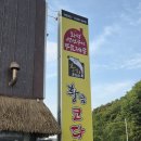 춘천 장학리맛집 황금코다리 플러스 후기(막걸리 부추전 계란후라이 무제한)