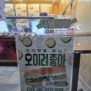 원진개쉼터 | 2025.05 기록
