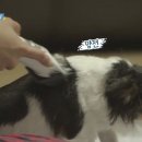 공감 이미지