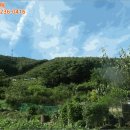 외산면행정복지센터 이미지