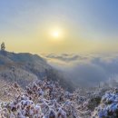 판암동251 이미지