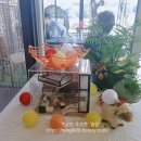 알로하오에 이미지