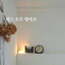 피스오브앙티브 이미지