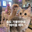 테이블에이 | 송도 트리플스트리트 테이블에이 방문 후기 실내 동물원에서 이색데이트