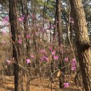 산에산에 이미지