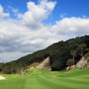 일레븐CC 이미지