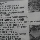 나무와 문화연구소
