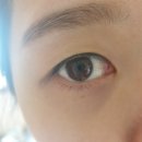오래쉬(OLASH) | 상무지구 속눈썹연장 오래쉬