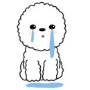 우아에스떼 네이버블로그