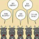 [주식 투자] 공모주 완전정복: 개념부터 에스팀 청약 후기까지 (feat. 한국투자증권)