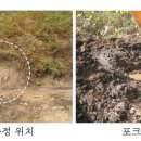 대박명당 이미지