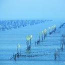 압해 송공산성 이미지